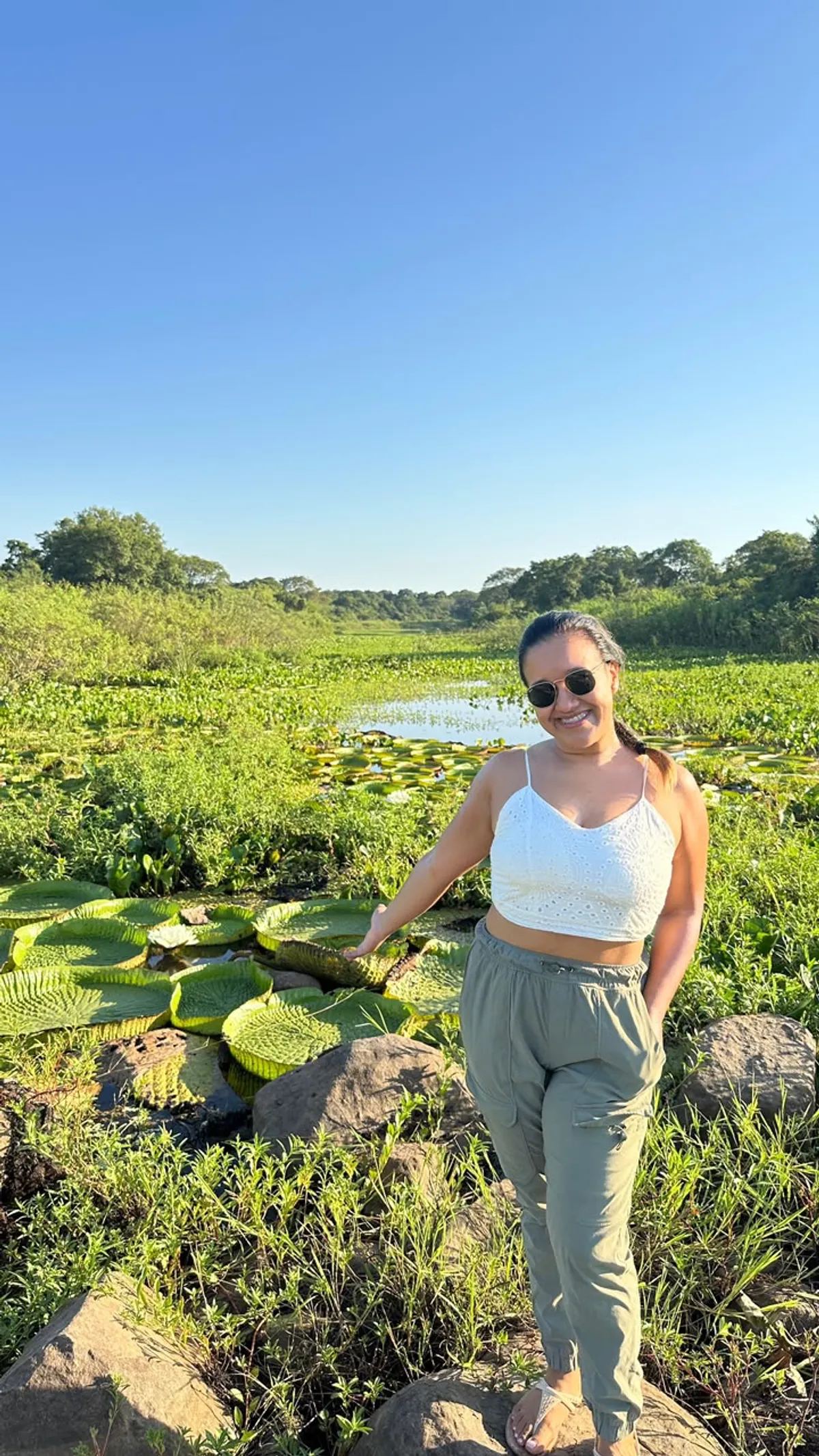 Giant Victoria regia water lilies